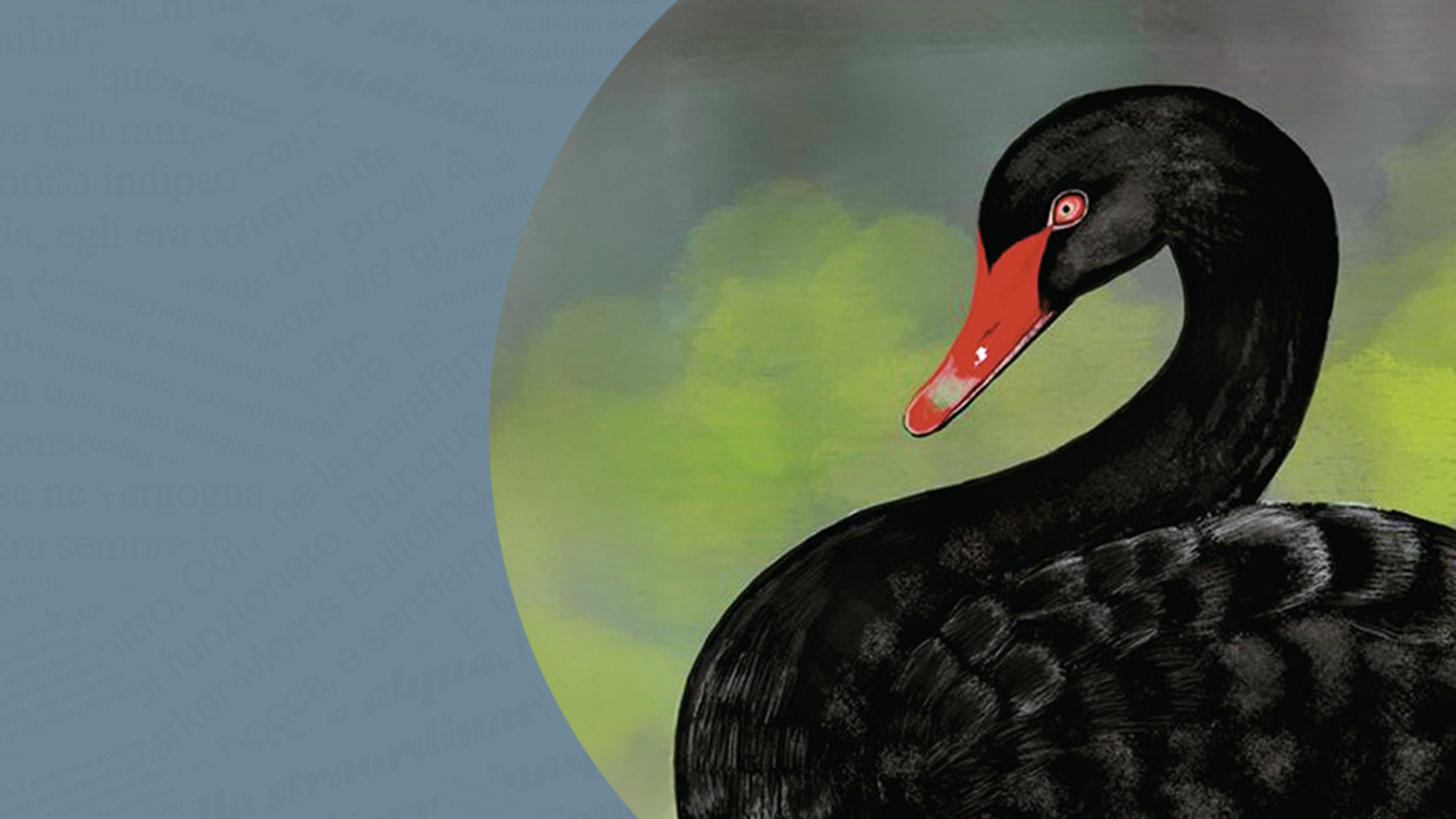La fame del cigno