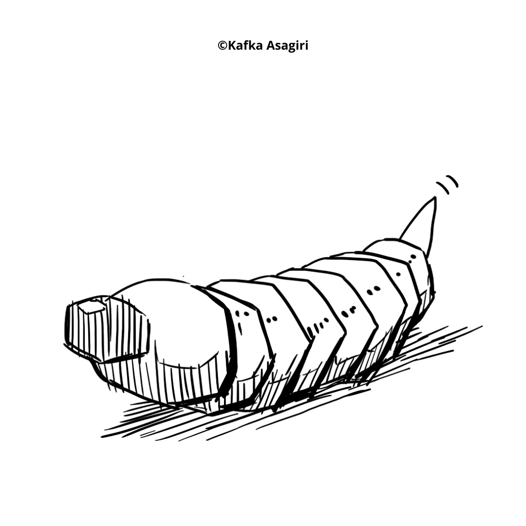 Kafka Asagiri