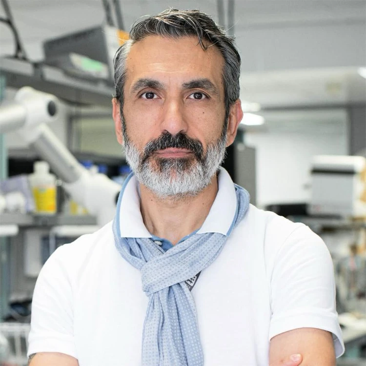 Giorgio Metta