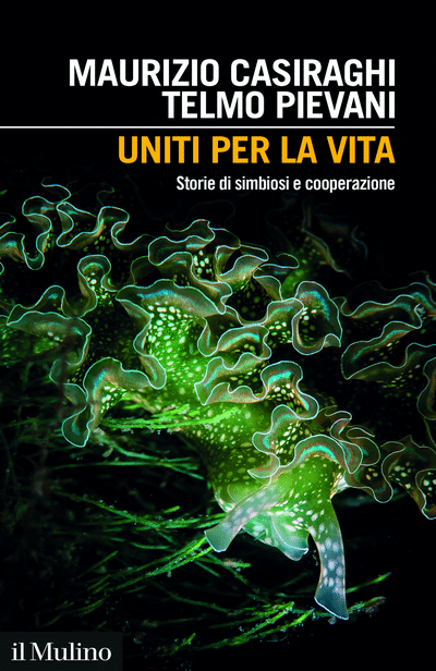 Cooperazione