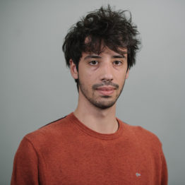 Gabriele Cavallini