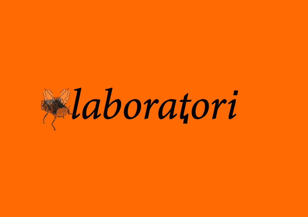Una sfrenata fedeltà: tradurre Volodine
