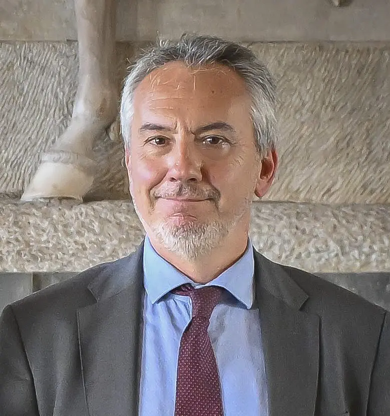 Massimo Gaudina