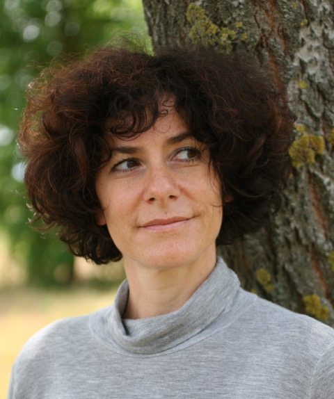 Guia Risari