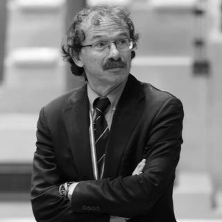 Stefano Stefanel