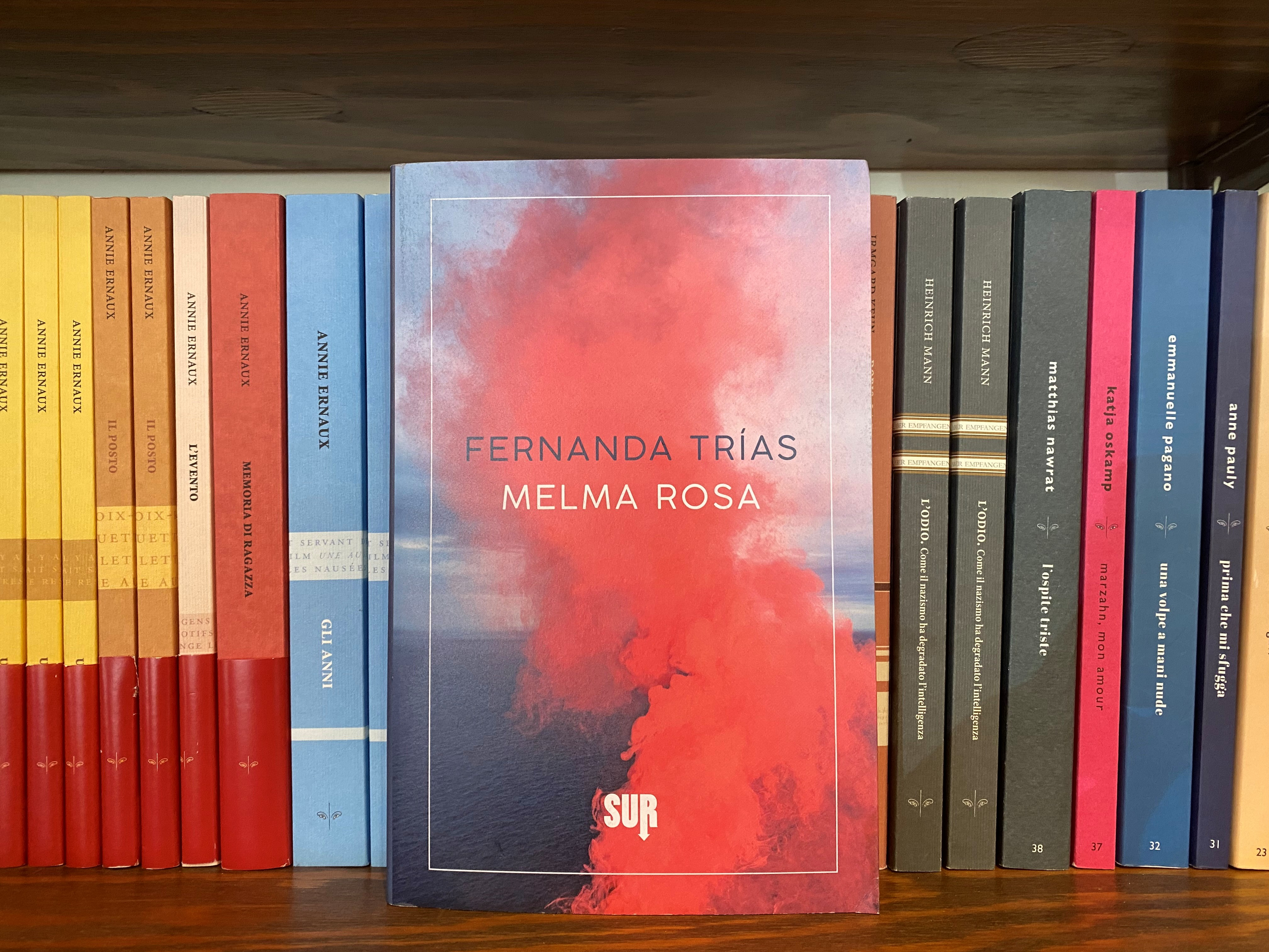 "Melma rosa" di Fernanda Trías - Gruppo di lettura sulla letteratura latinoamericana 