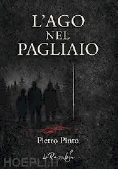 L'ago nel pagliaio