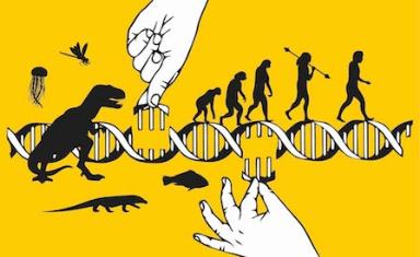 Evolution challenge - Sopravvivere alle sfide dell'evoluzione
