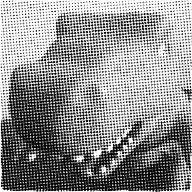 Danilo Manzi