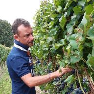 Marco Gorni Silvestrini