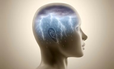 Alla ricerca della coscienza - Esseri umani, organoidi e IA: chi prova qualcosa?