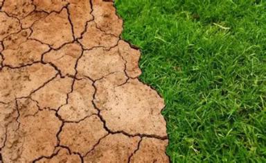 ReLeaf: intrecci e terricci - Come creare fertilizzanti sostenibili