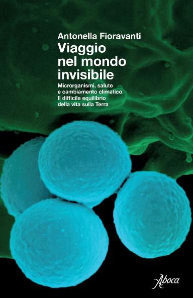 Minuscoli