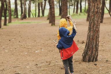 Laggiù, nel cuore della foresta