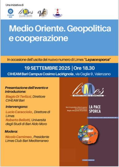 Medio Oriente. Geopolitica E Collaborazione